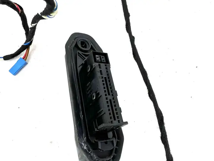 BMW X5 E70 (2006 - 2013)  9116976 Проводка передних дверей