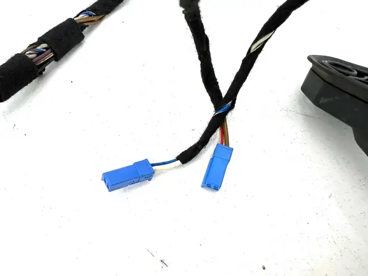 BMW X5 E70 (2006 - 2013)  9116976 Проводка передних дверей