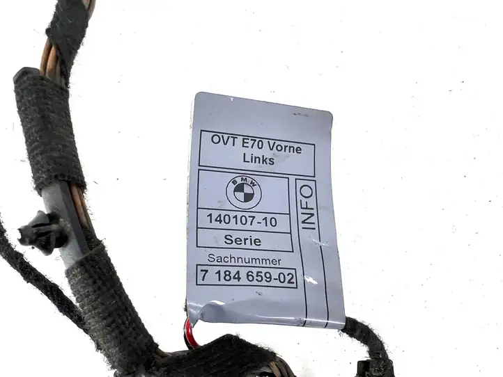 BMW X5 E70 (2006 - 2013)  9116976 Проводка передних дверей
