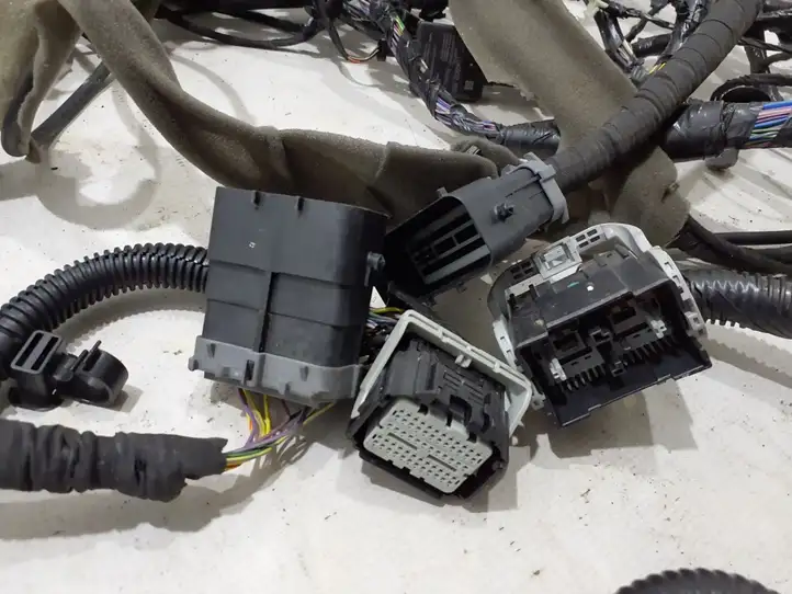Ford Kuga II (2013 - 2019) DV6T18812DB Прочая электропроводка — фото 3