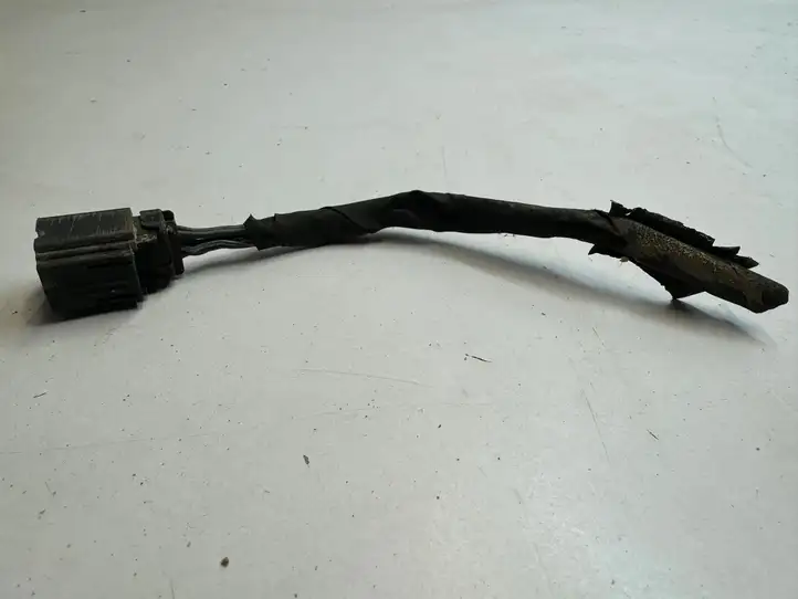 Ford Mustang VI (2015 - )  1411011 Другой проводник