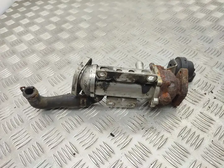 Opel Vivaro (2006 - 2014)   Охладитель EGR