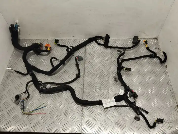 Maserati Quattroporte (2012 - 2016) 670006101 Прочая электропроводка — фото 1