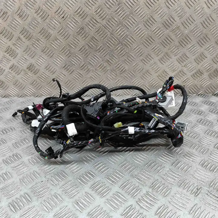 Tesla Model Y (2019 - 2024) 248904004B Прочая электропроводка — фото 1