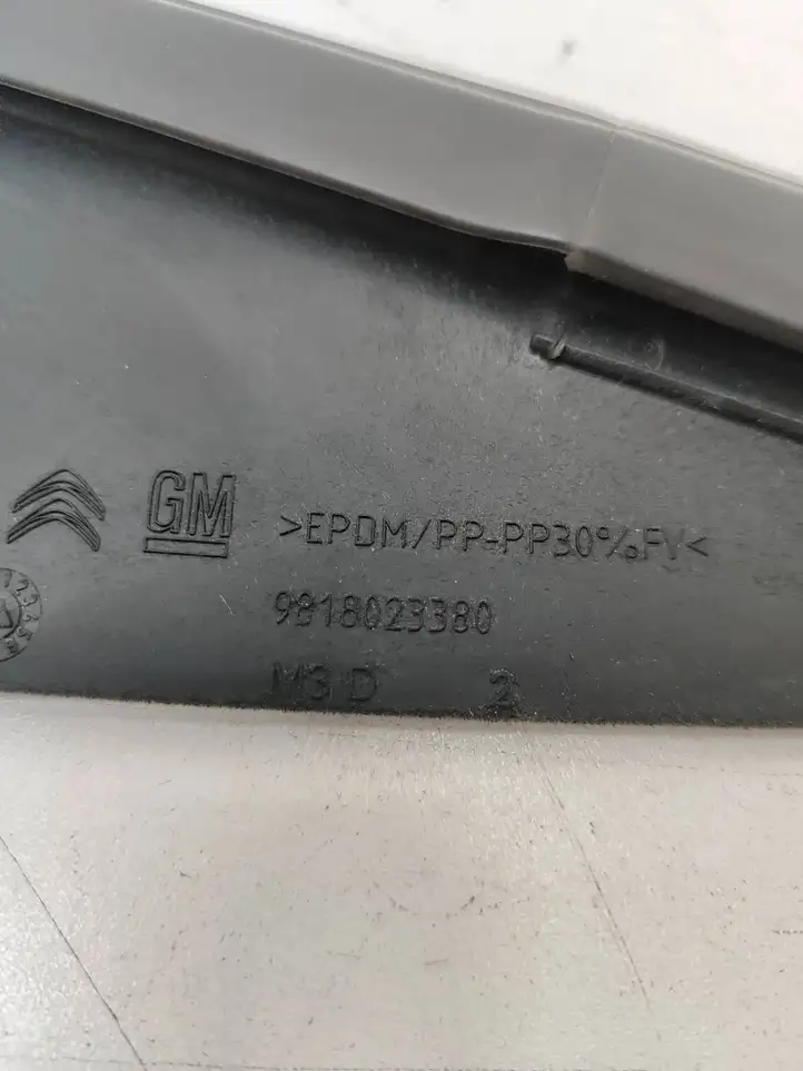 Citroen Berlingo (2018 - ) 9818023380 Уплотнитель стекла передней двери — фото 6