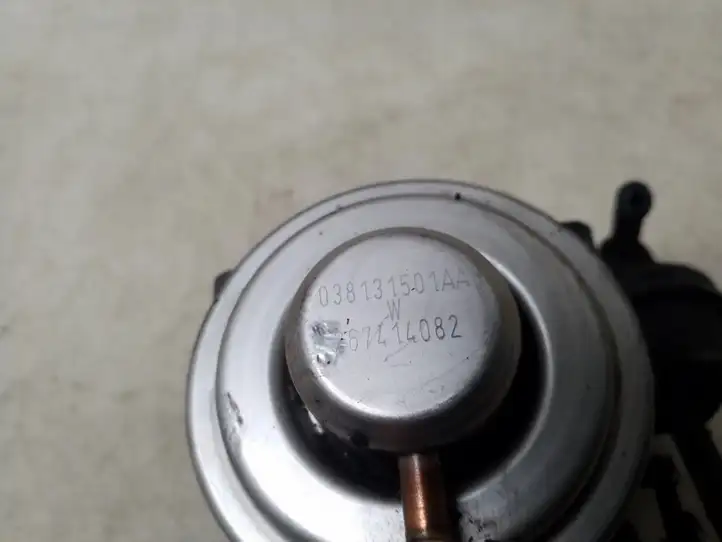 Volkswagen Sharan (2003 - 2010)  038131501AA Клапан EGR