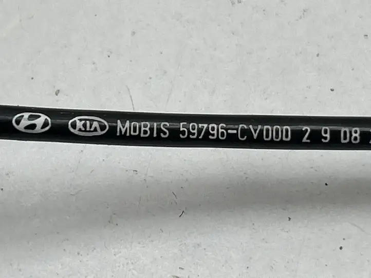 Kia EV6 (2021 - ) 59796CV000 Проводка заднего датчика ABS — фото 5