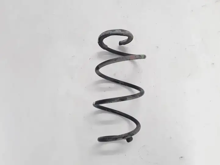 Renault Zoe (2012 - ) 540107003R Пружина подвески — фото 2