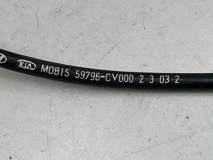 Kia EV6 (2021 - ) 59796CV000 Проводка заднего датчика ABS — фото 6