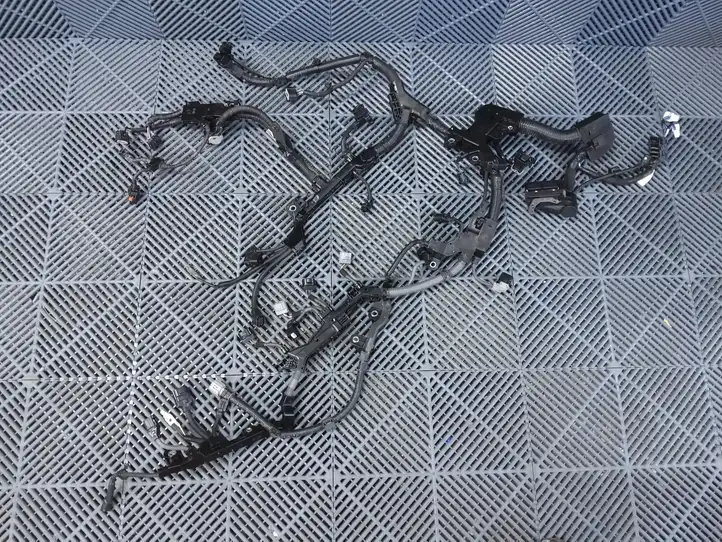 Toyota Corolla Cross (2021 - )   Проводка двигателя