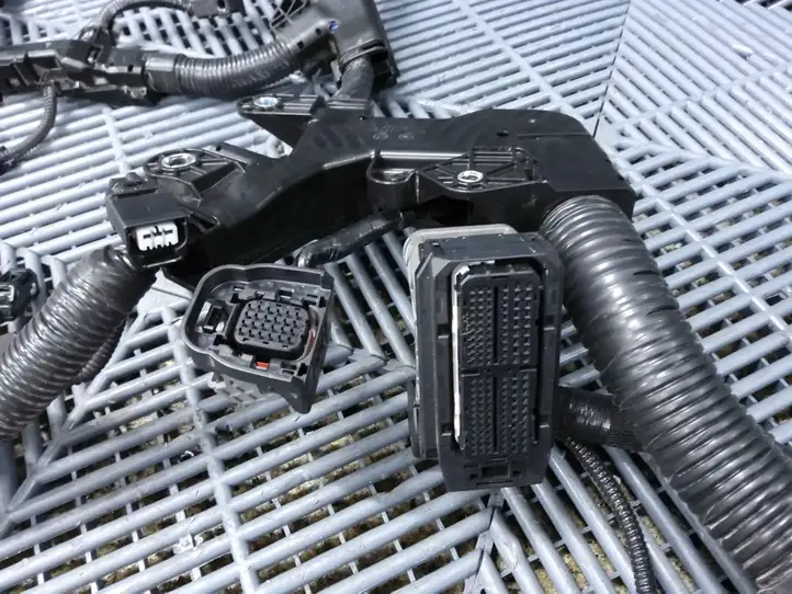 Toyota Corolla Cross (2021 - )   Проводка двигателя