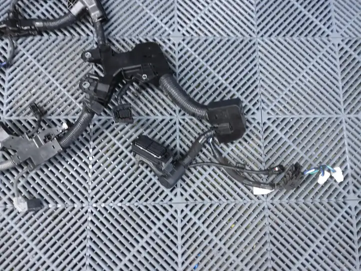 Toyota Corolla Cross (2021 - )   Проводка двигателя