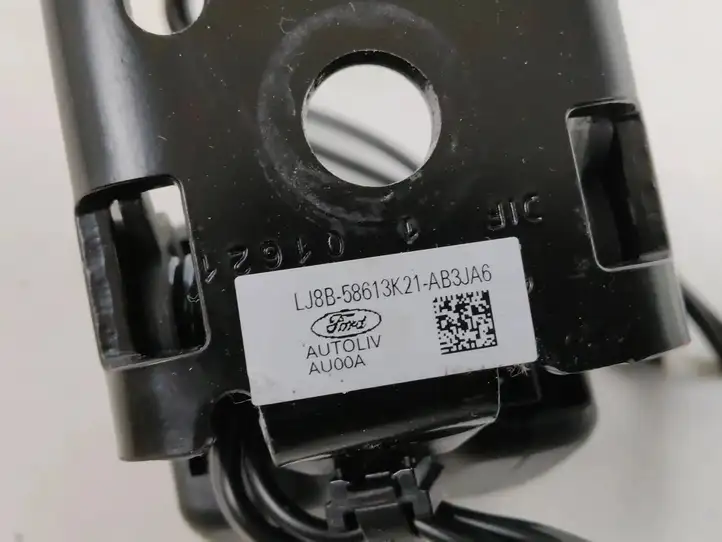 Ford Mustang Mach-E (2020 - )  LJ8B58613K21AB Задний средний замок ремня