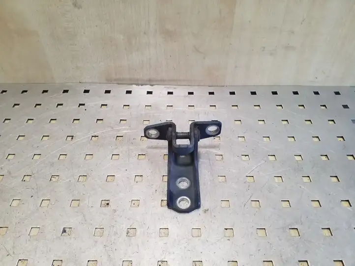 Peugeot 4007 (2007 - 2012) Нижняя петля передней двери — фото 3