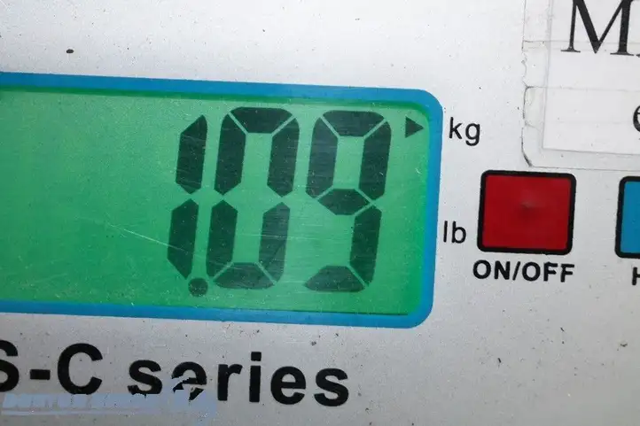 Mazda 5 (2005 - 2010) 1019620391 Топливный насос (в баке) — фото 8