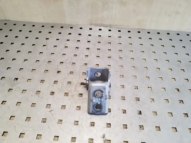 Peugeot 208 (2012 - 2015)   Нижняя петля передней двери