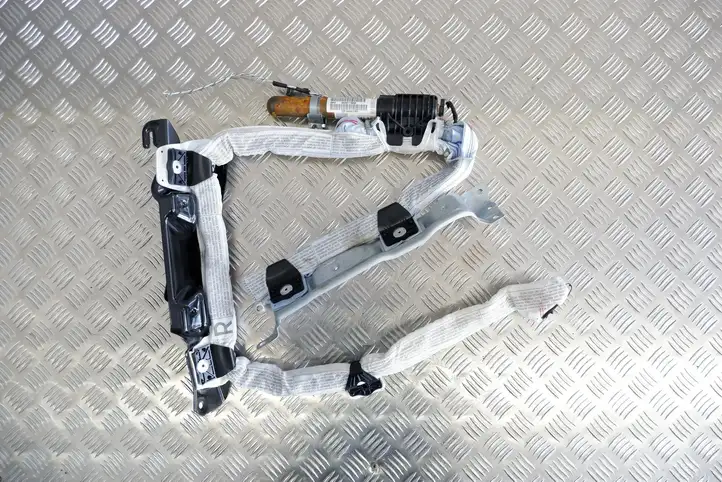BMW X1 E84 (2009 - 2015) 85299117809P Боковая подушка безопасности шторка — фото 1