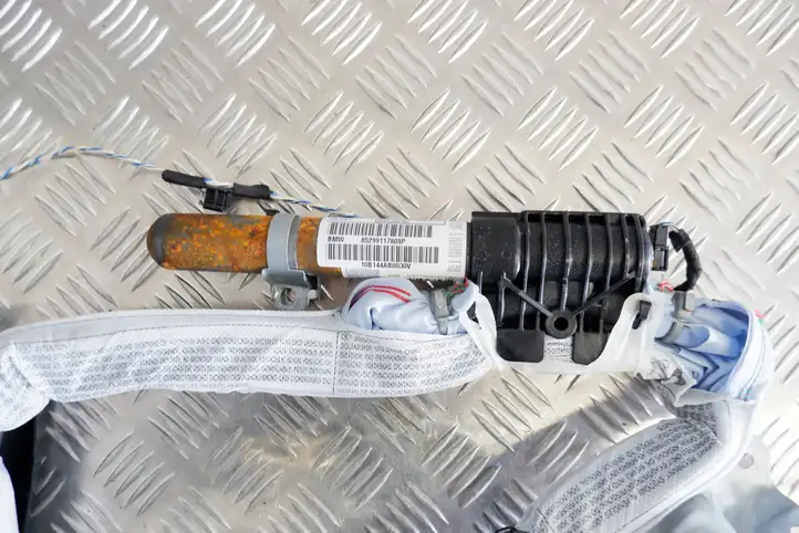 BMW X1 E84 (2009 - 2015) 85299117809P Боковая подушка безопасности шторка — фото 4