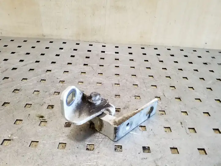 Ford Focus (2011 - 2015) Нижняя петля задней двери — фото 2