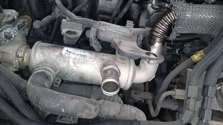 9646762280 Citroen C4 I EGR aušintuvas