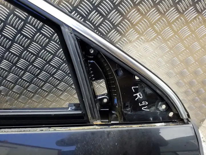 Volkswagen Phaeton (2008 - 2016) Дверь — фото 3