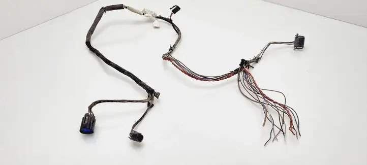 Volkswagen Sharan (2000 - 2003)  98VW14A495GD Проводка передних дверей