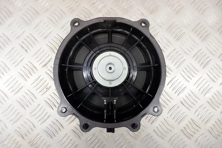 Tesla Model 3 (2017 - 2023)  107974400E Громкоговоритель (громкоговорители) в передних дверях