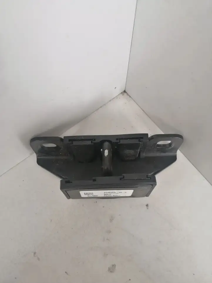 Tesla Model X (2015 - 2021) 103383600G Петля замка задней двери — фото 1