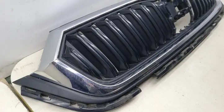 Skoda Octavia Mk4 (2019 - ) Передняя решетка — фото 8