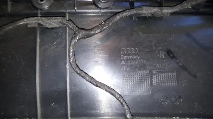 Audi Q5 SQ5 (2008 - 2012) Обшивка задней двери — фото 6