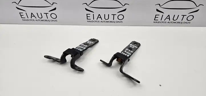 BMW X5 E70 (2006 - 2013) 7149627 Петли крышки багажника — фото 3