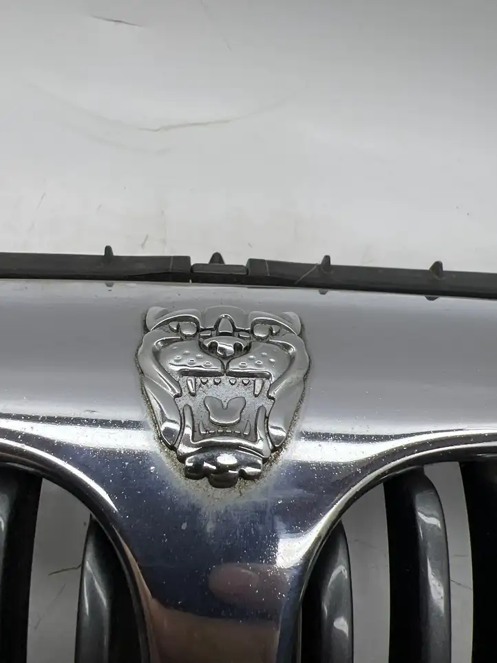 Jaguar X-Type (2001 - 2008) Верхняя решетка радиатора — фото 2