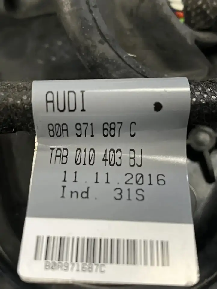 Audi Q5 SQ5 (2017 - ) 80A971687C Проводка задней двери — фото 5