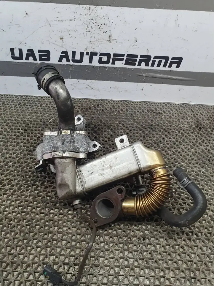 Nissan Qashqai (2013 - 2017) 147350678R Охладитель клапана EGR — фото 2