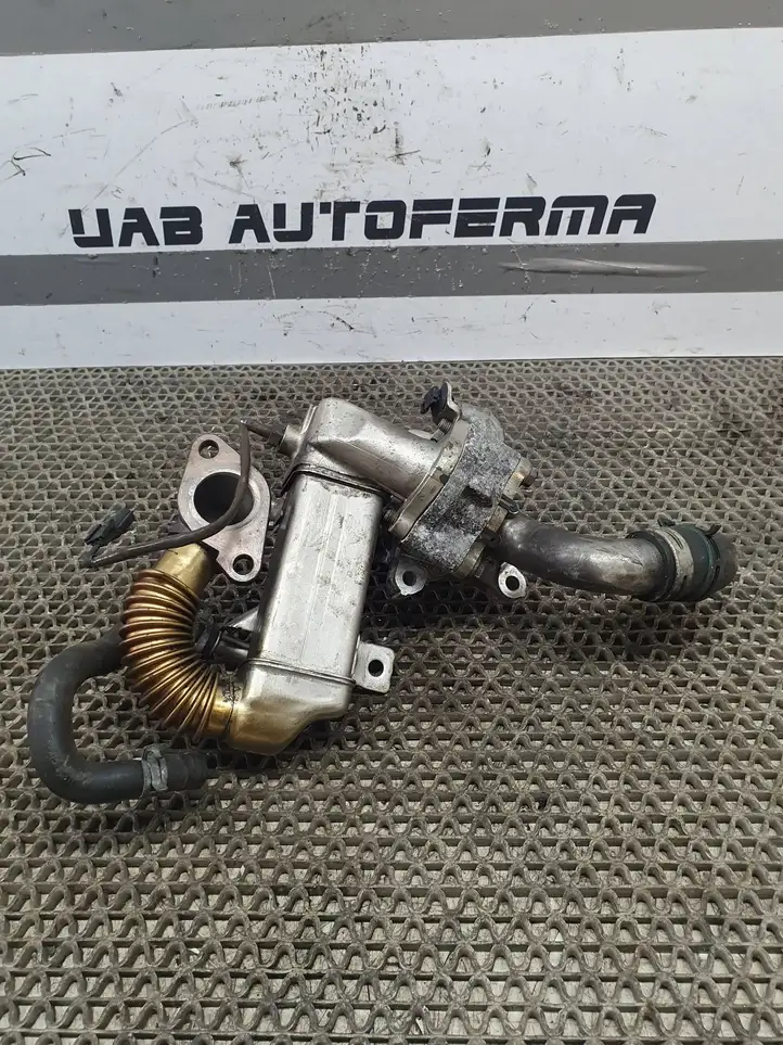 Nissan Qashqai (2013 - 2017) 147350678R Охладитель клапана EGR — фото 3