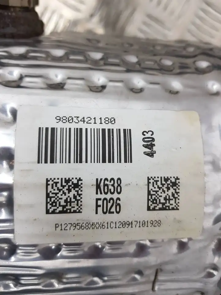 Citroen C4 I Picasso (2006 - 2013) 9803421180 Катализатор / DPF / FAP — фото 3