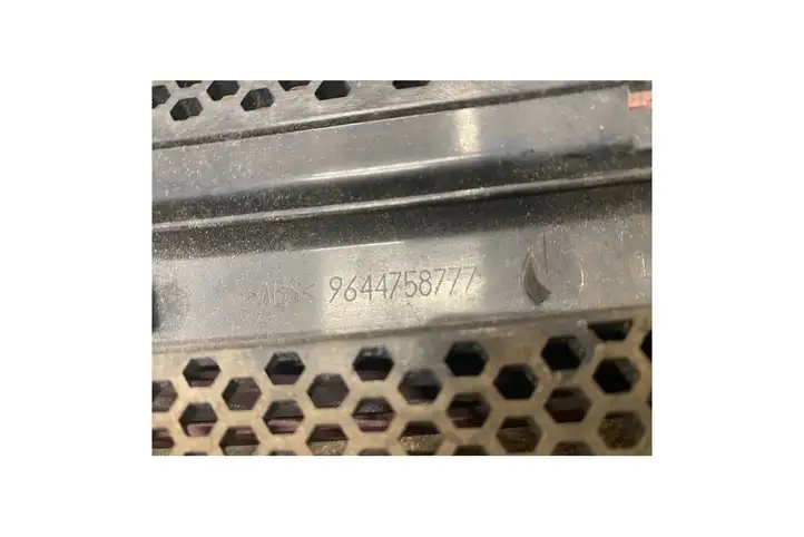 Peugeot Partner (2002 - 2008) 9644758777 Передняя решетка — фото 8