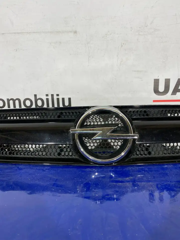 Opel Vectra C (2002 - 2005) 13123491 Верхняя решетка радиатора — фото 10