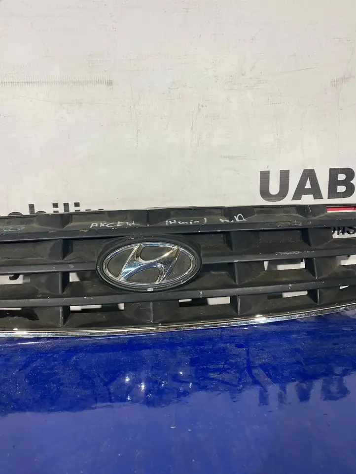 Hyundai Accent (2003 - 2006) 8636125620 Верхняя решетка радиатора — фото 5