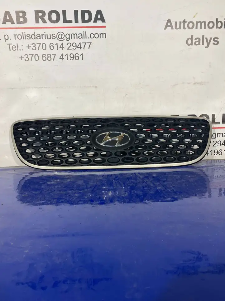 Hyundai Terracan (2001 - 2004) 86252H1500 Передняя решетка — фото 1