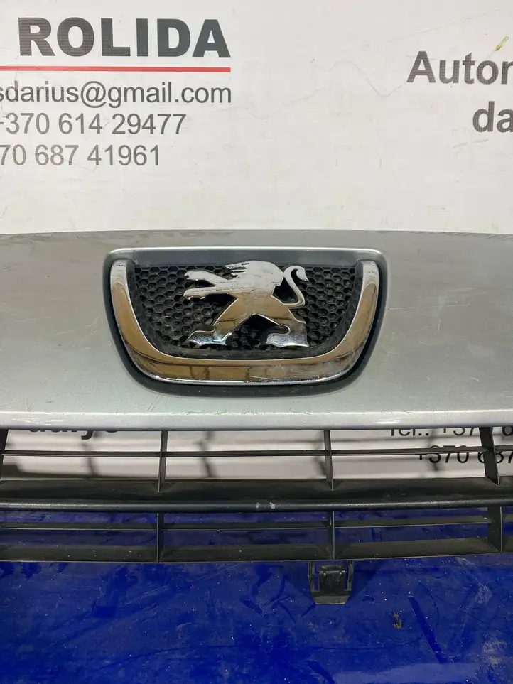 Peugeot Expert (2007 - 2016) 1497644077 Верхняя решетка радиатора — фото 10