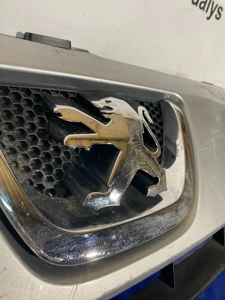 Peugeot Expert (2007 - 2016) 1497644077 Верхняя решетка радиатора — фото 15
