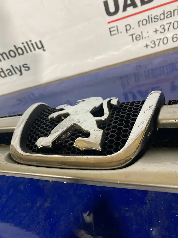 Peugeot Partner (2002 - 2008) 9644758777 Передняя решетка — фото 12