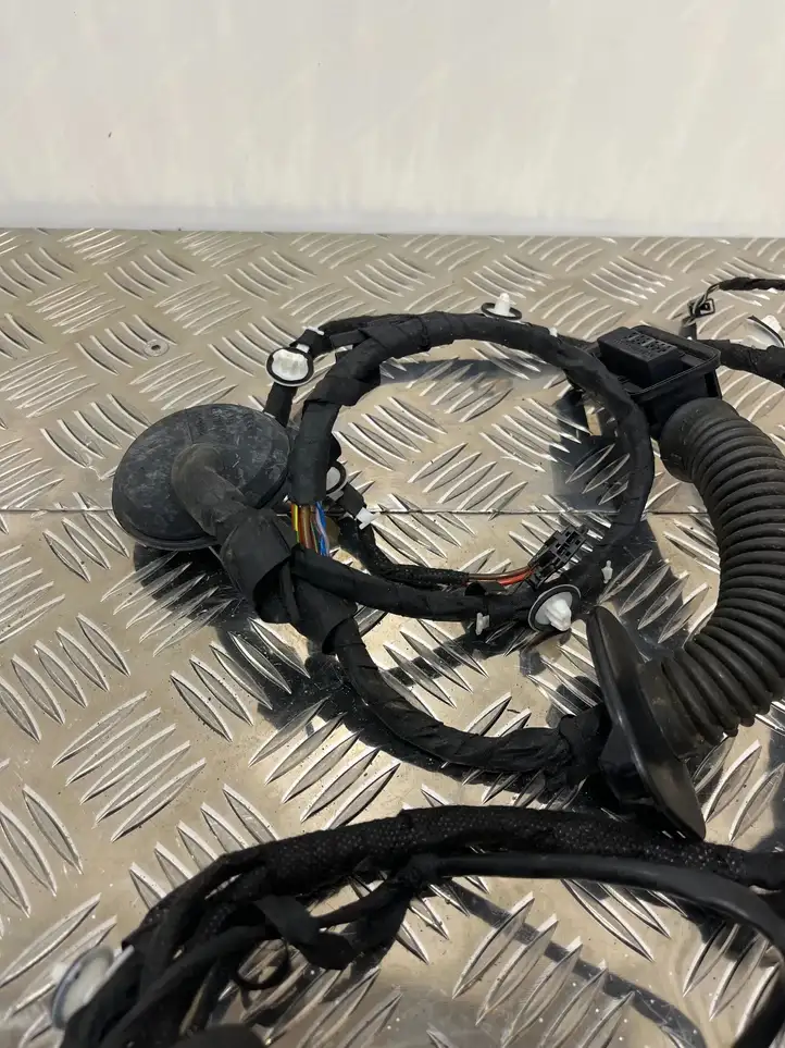 Audi Q5 SQ5 (2012 - 2017) 8R0971687AH Проводка задней двери — фото 4