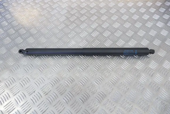 BMW X1 F48 F49 (2015 - 2022) 7481805 Амортизатор крышки багажника — фото 1