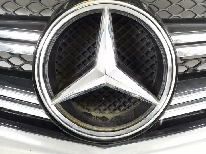 Mercedes-Benz S W221 (2005 - 2013) Передняя решетка — фото 3