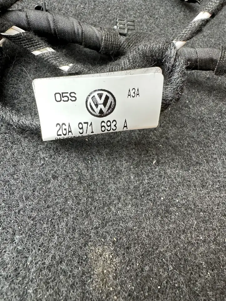Volkswagen T-Roc (2017 - ) 2GA971693A Проводка задней двери — фото 4
