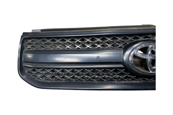 Toyota RAV 4 (XA20) (2000 - 2005) 0842342150 Передняя решетка — фото 4