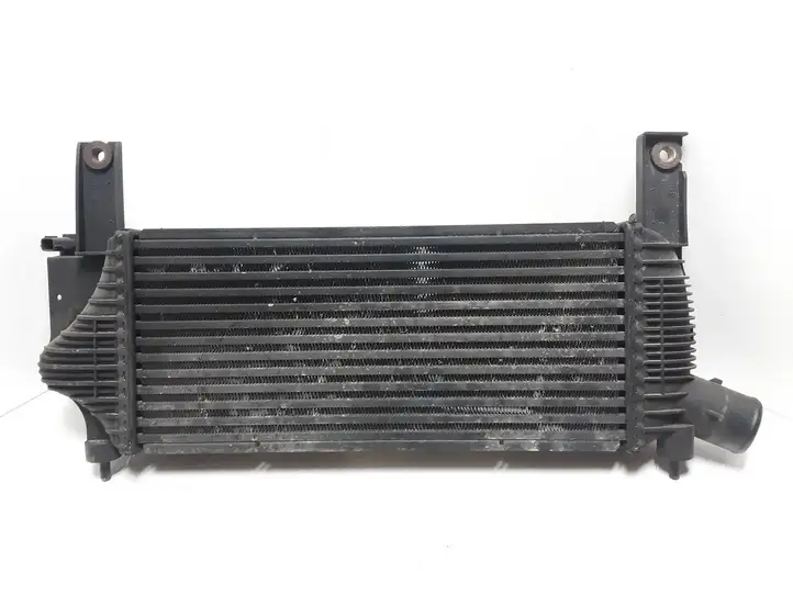 Nissan Navara D40 (2004 - 2015) 14461EB360 Интеркулер — фото 1