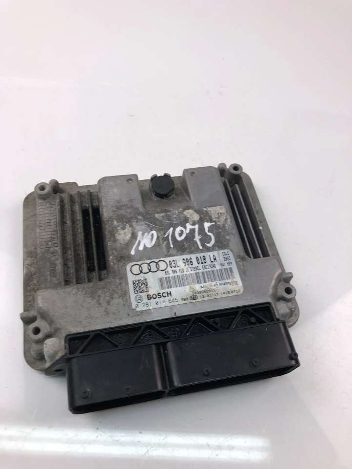 03L906018LA Audi A6 C7 Galios (ECU) modulis